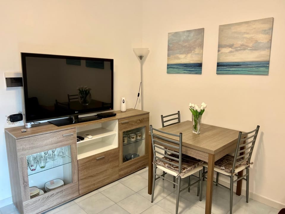TV and multimedia