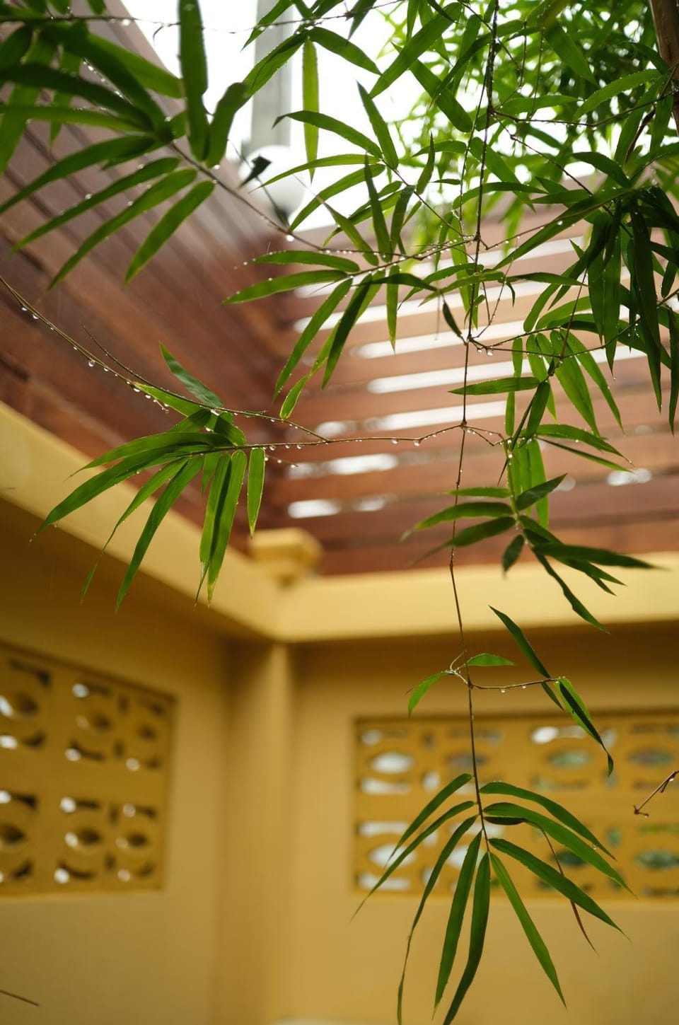 Day, Garden, Garden view