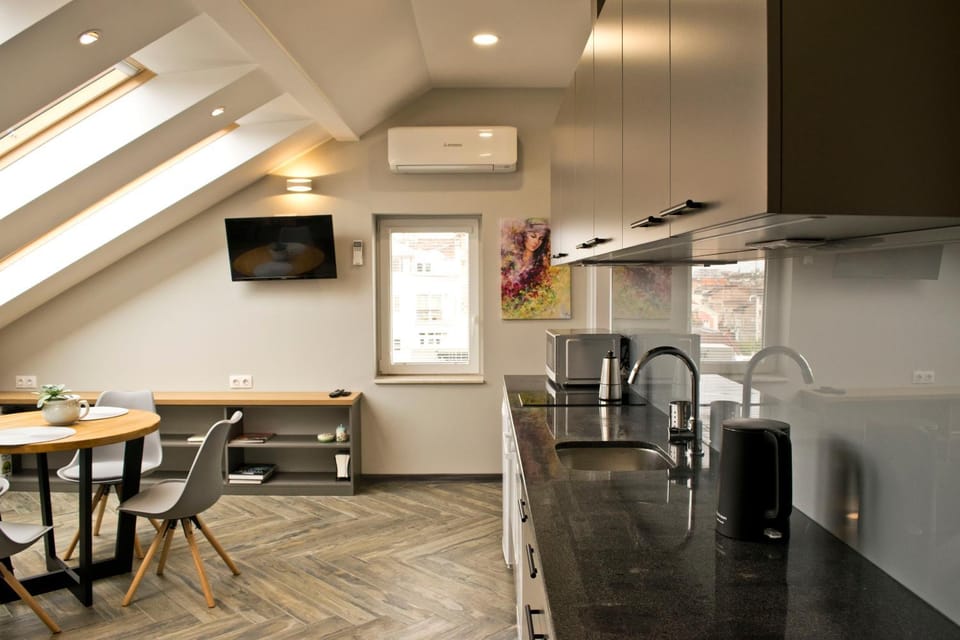 TV and multimedia, Kitchen or kitchenette, Dining area, minibar, pet friendly, air conditioner