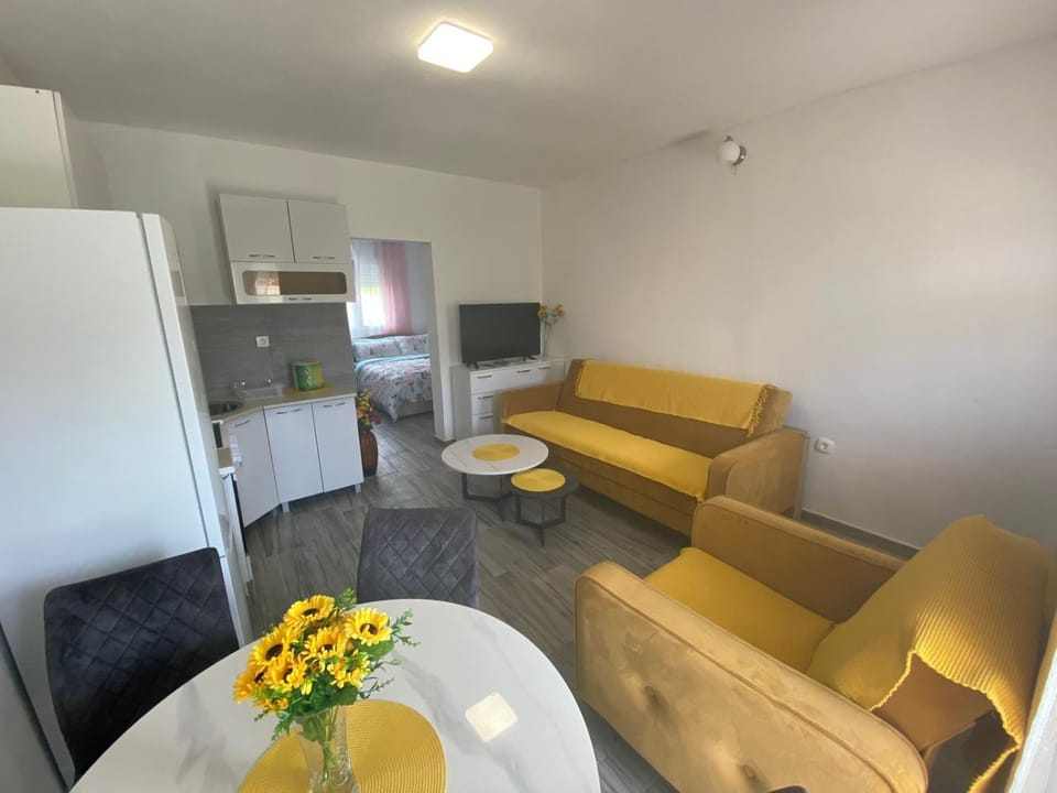OLGA APARTMENT Apartment in Kotor Municipality