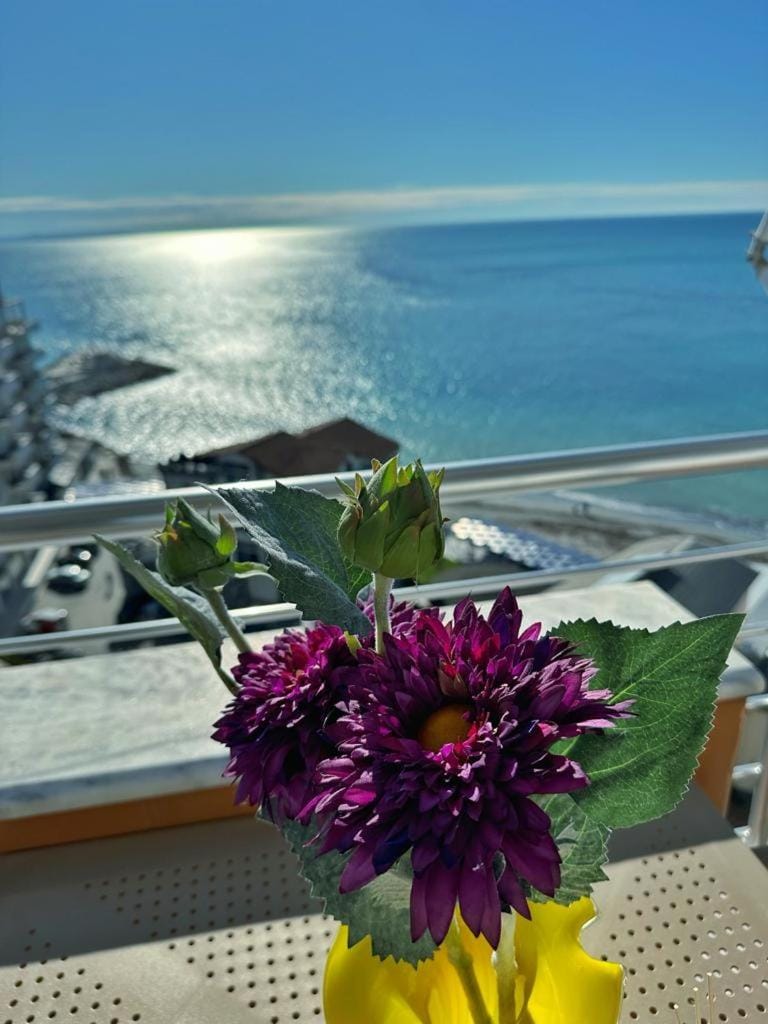 Natural landscape, Balcony/Terrace, Sea view
