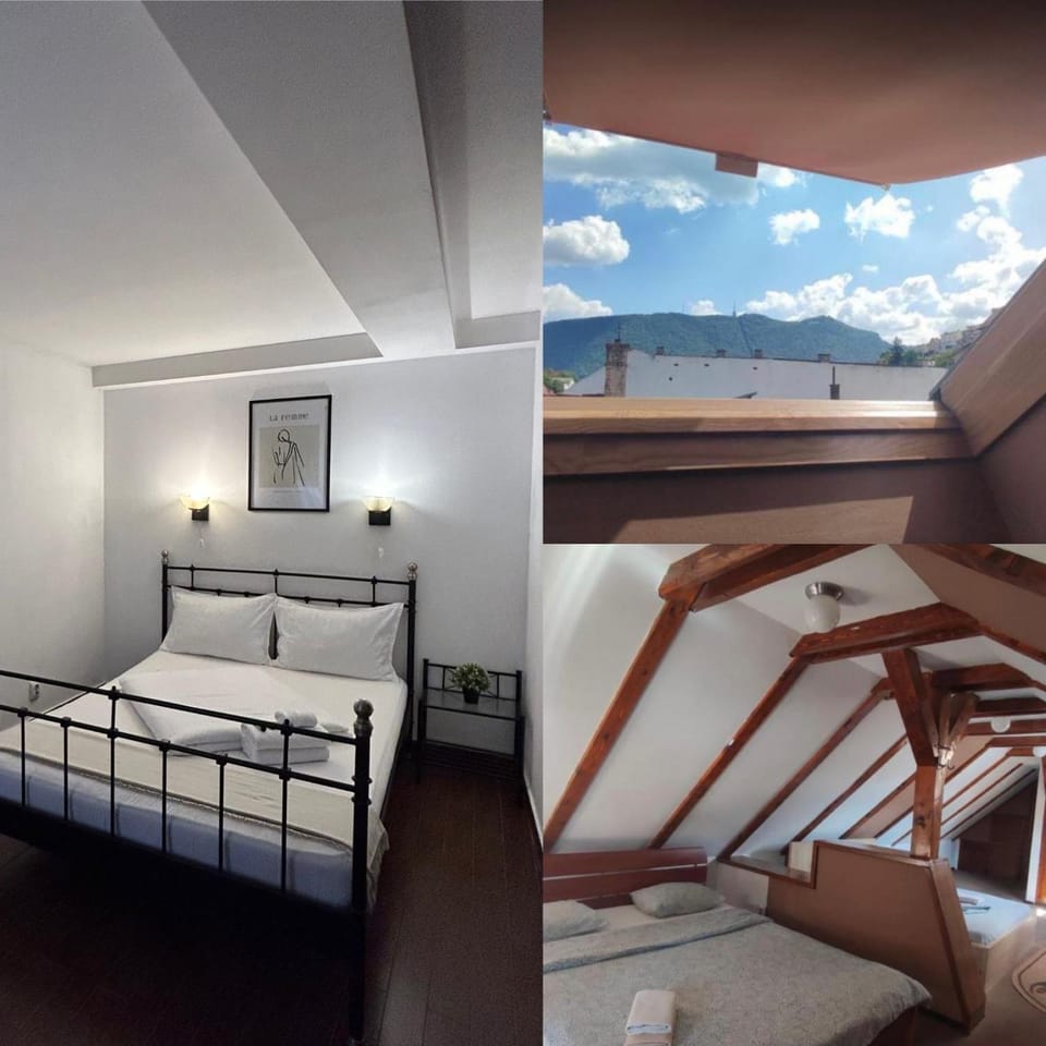 SIAN Sanctuary Villa Bed and Breakfast in Brasov