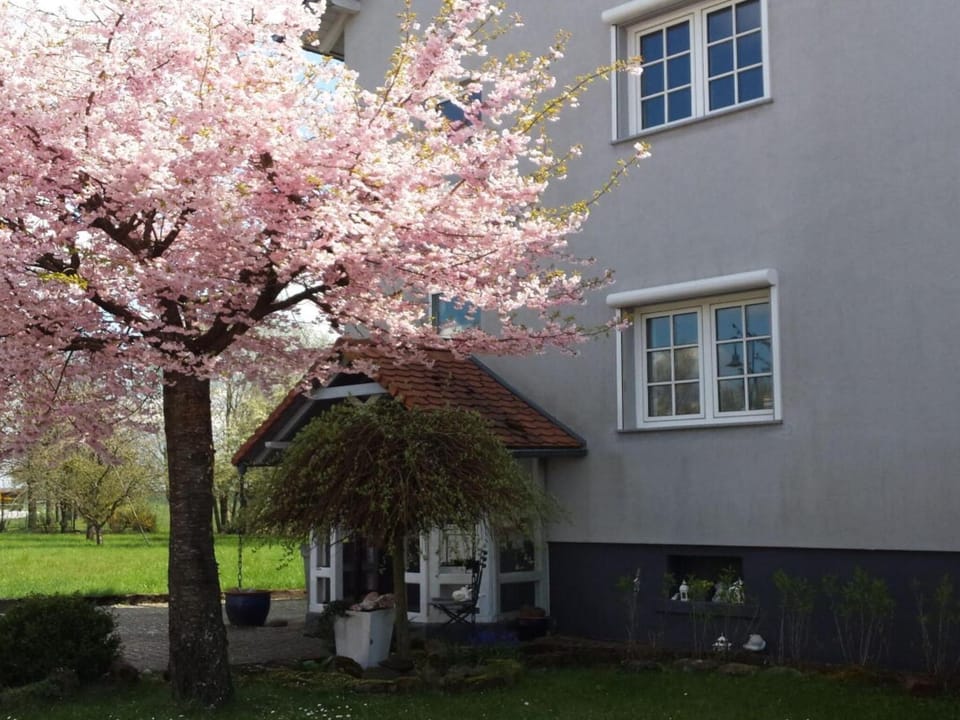 Property building, Other