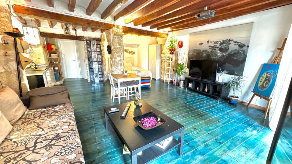 Loft estilo cine en el centro histórico - Casco Antiguo Apartment in Alicante
