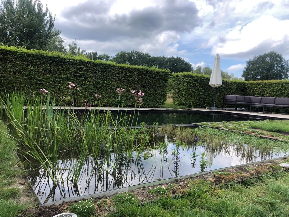 Garden, Swimming pool
