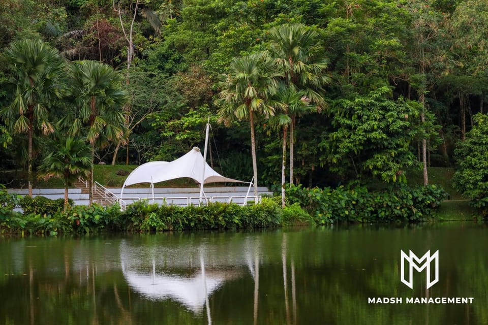 Natural landscape, Garden, Lake view