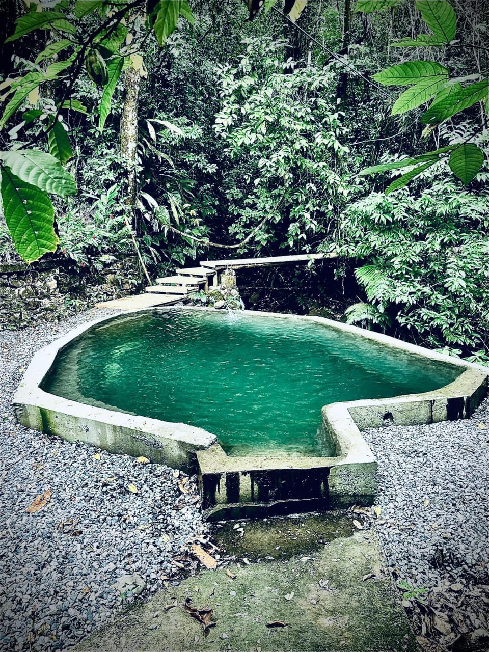 Natural landscape, Swimming pool, Swimming pool