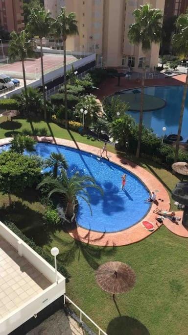 Pool view, Swimming pool