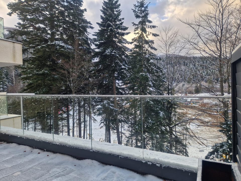 Natural landscape, Winter, Mountain view