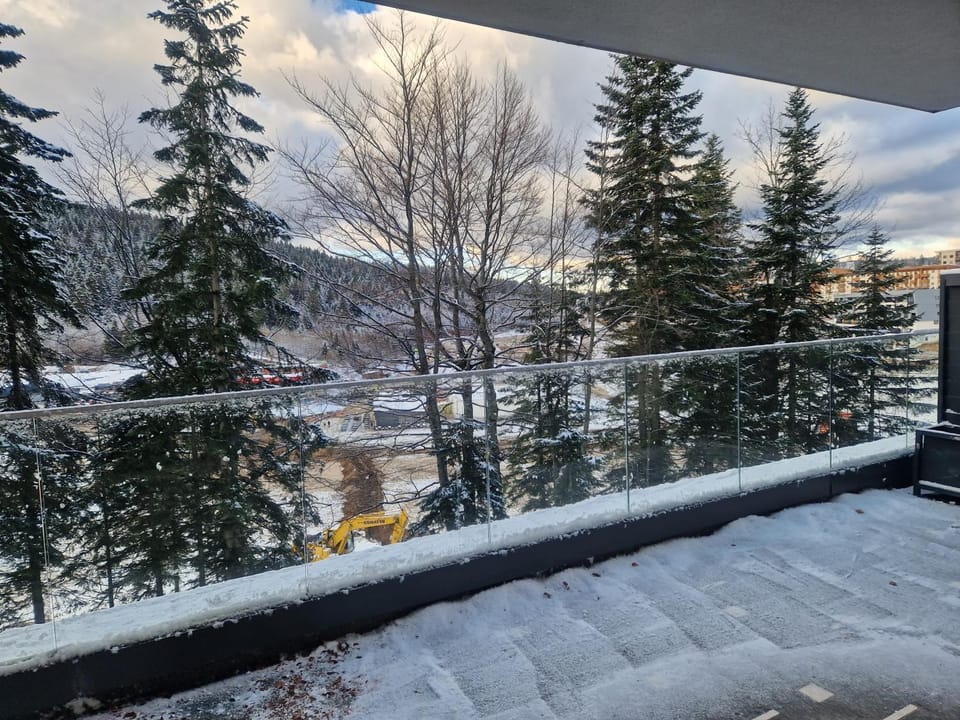 Natural landscape, Winter, View (from property/room), Balcony/Terrace, Balcony/Terrace, Mountain view