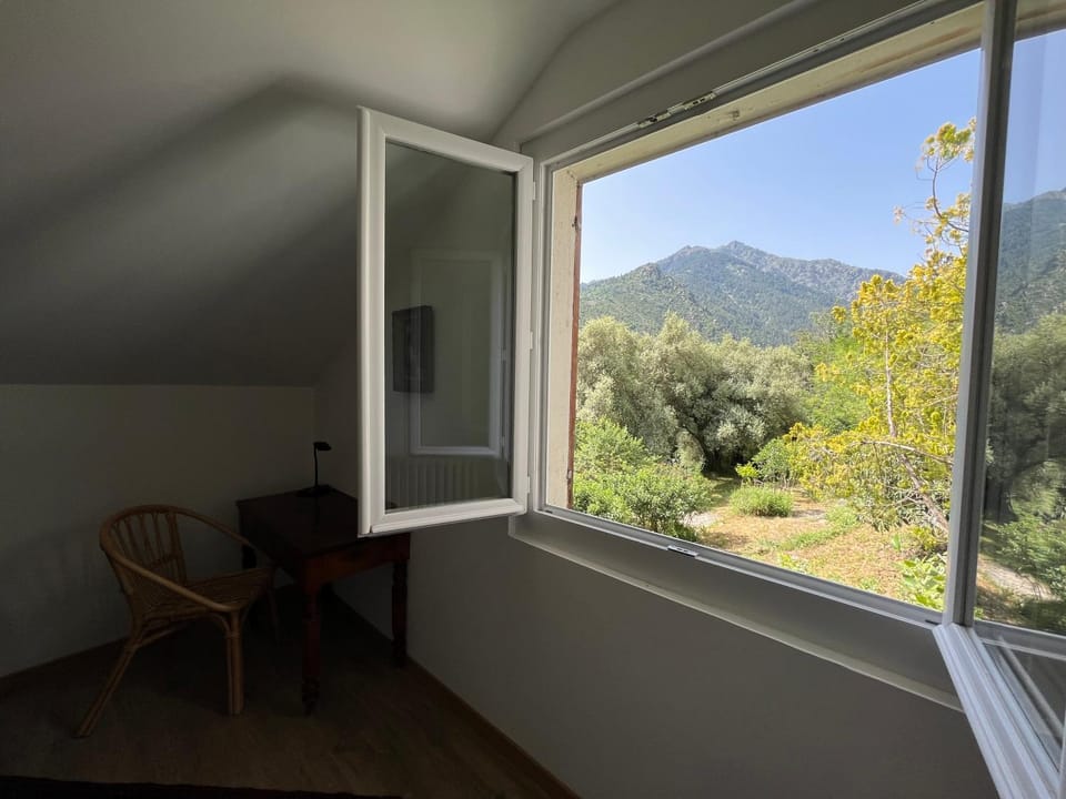 View (from property/room), Garden view
