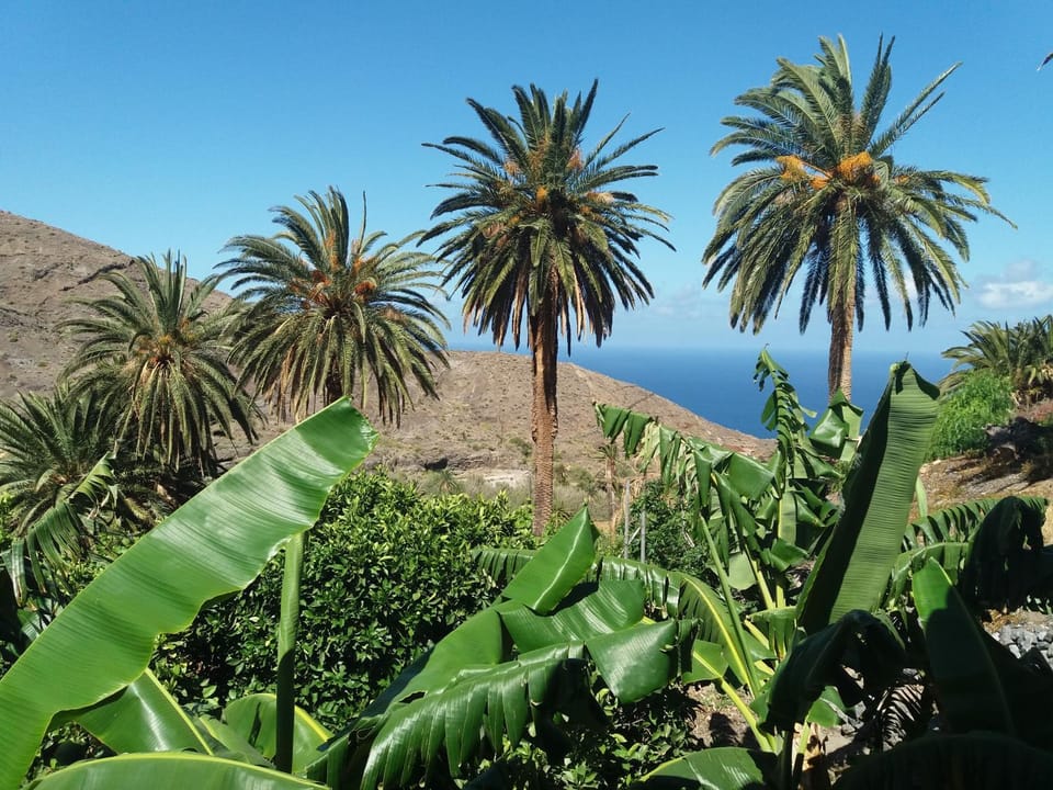 Natural landscape, Mountain view, Sea view