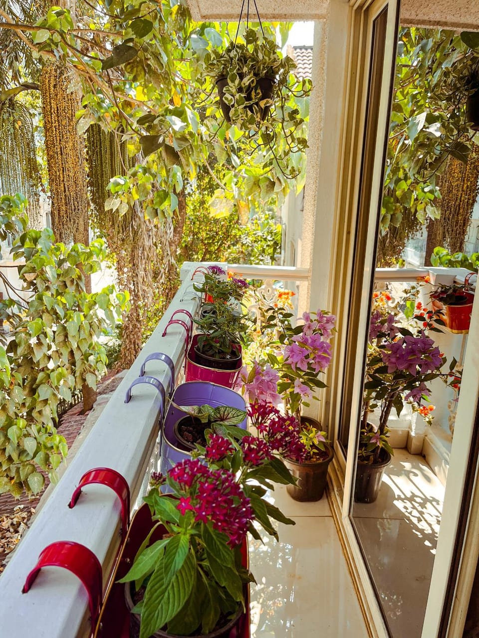 Balcony/Terrace