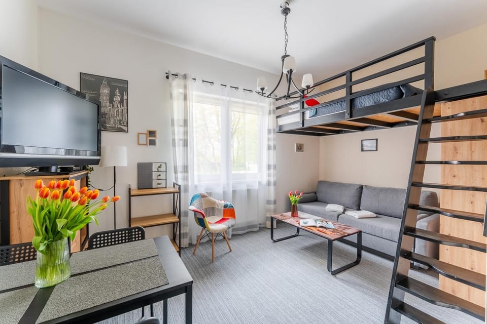 Bed, TV and multimedia, Seating area