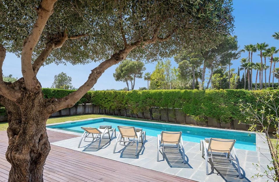 Spring, Day, Garden, Garden view, Pool view, Swimming pool, sunbed