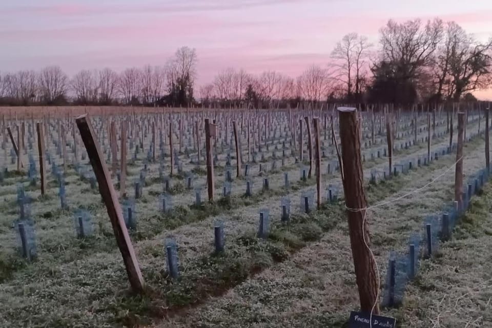 Sous le Grand Chêne, gîte à la ferme, Finistère House in Douarnenez
