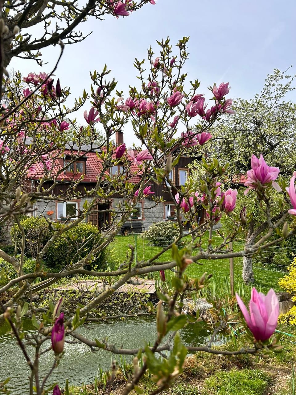 Garden, Garden view