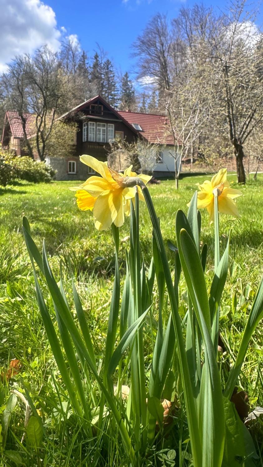 Apartamenty Gościnne 54 Szklarska Poręba Apartment in Lower Silesian Voivodeship