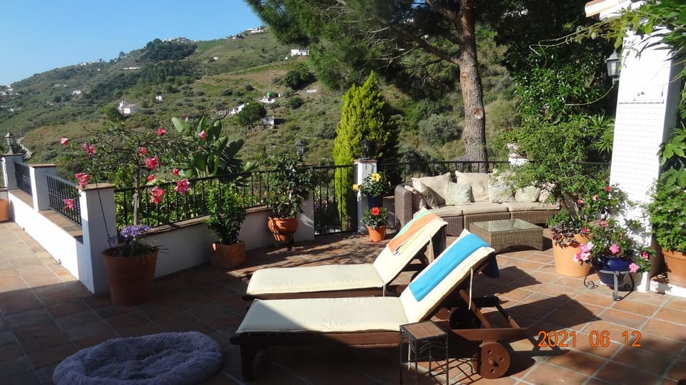 Patio, Balcony/Terrace, sunbed