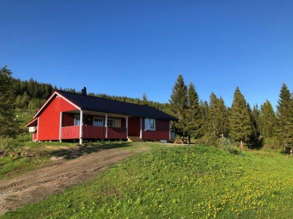 Nyrestaurert og koselig hytte ved Skjelbredvatnet. House in Norway