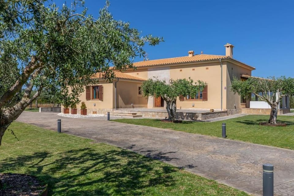 Property building, Day, Garden, Garden view