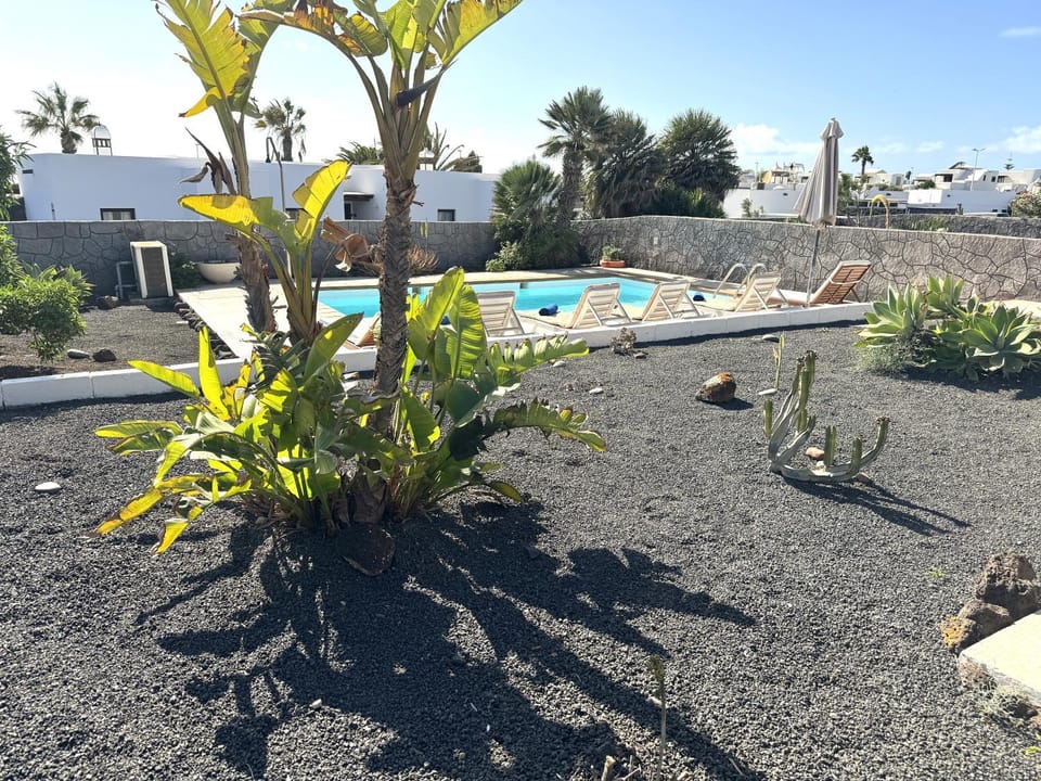 Garden, Garden view, Pool view, Swimming pool