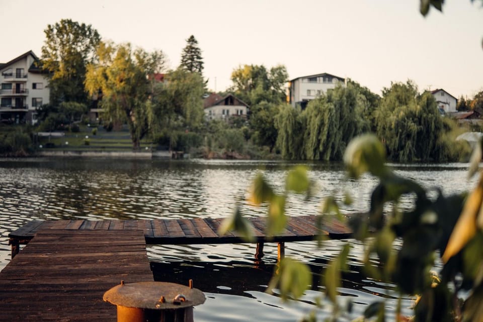 Lake view