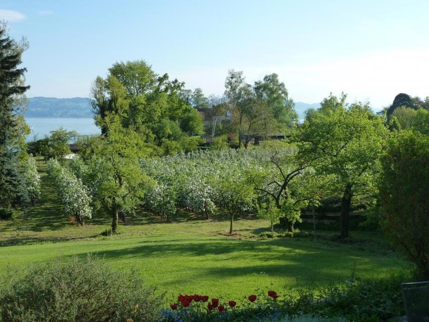 Haus Wörle Apartment in Vorarlberg, Austria
