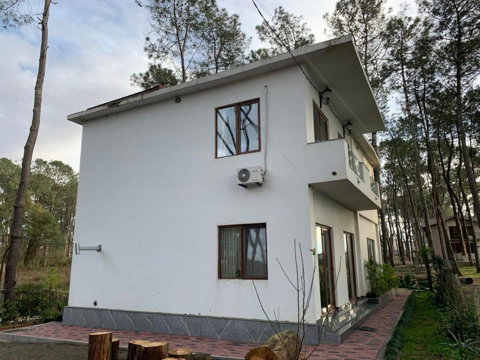 ARGO Shekvetili Bed and Breakfast in Georgia