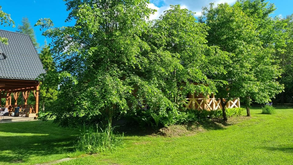 Property building, Spring, Day, Natural landscape, Garden, Garden view