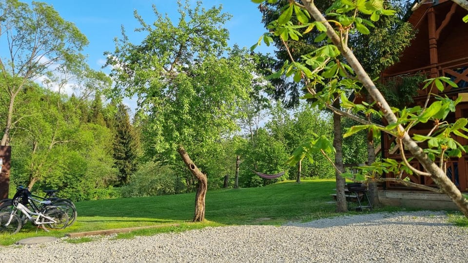 Spring, Day, Natural landscape, Garden, Garden view, Area and facilities