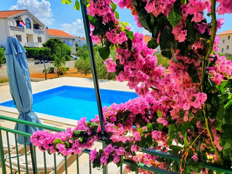 Spring, Day, Pool view, Swimming pool, sunbed