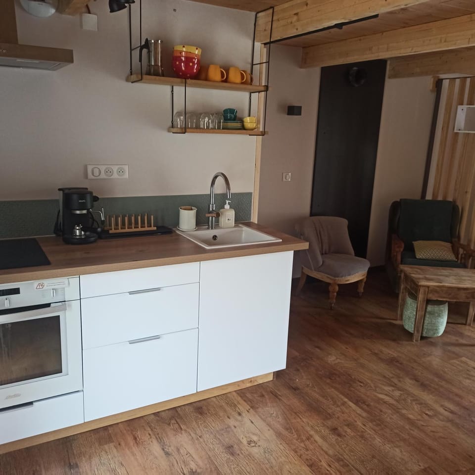 Kitchen or kitchenette, kitchen