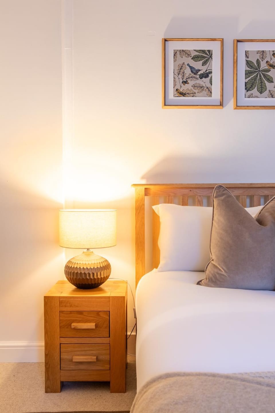 The Tartan Terrace Apartment in Inverness