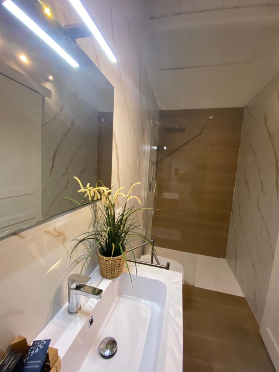 Shower, Bathroom