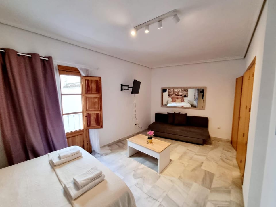 Magnifico Loft Sevillano en el Centro Apartment in Seville