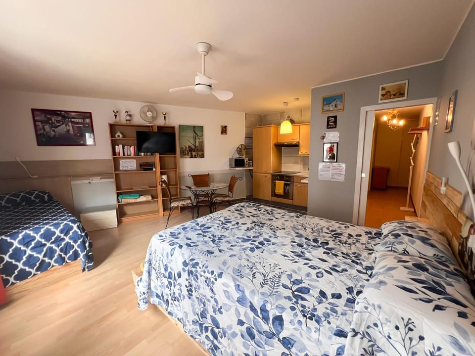 Bed, TV and multimedia, Kitchen or kitchenette, Photo of the whole room, oven