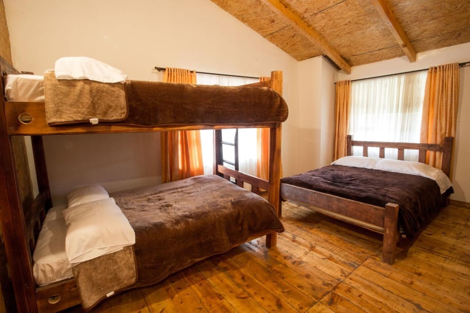 Photo of the whole room, Bedroom, bunk bed