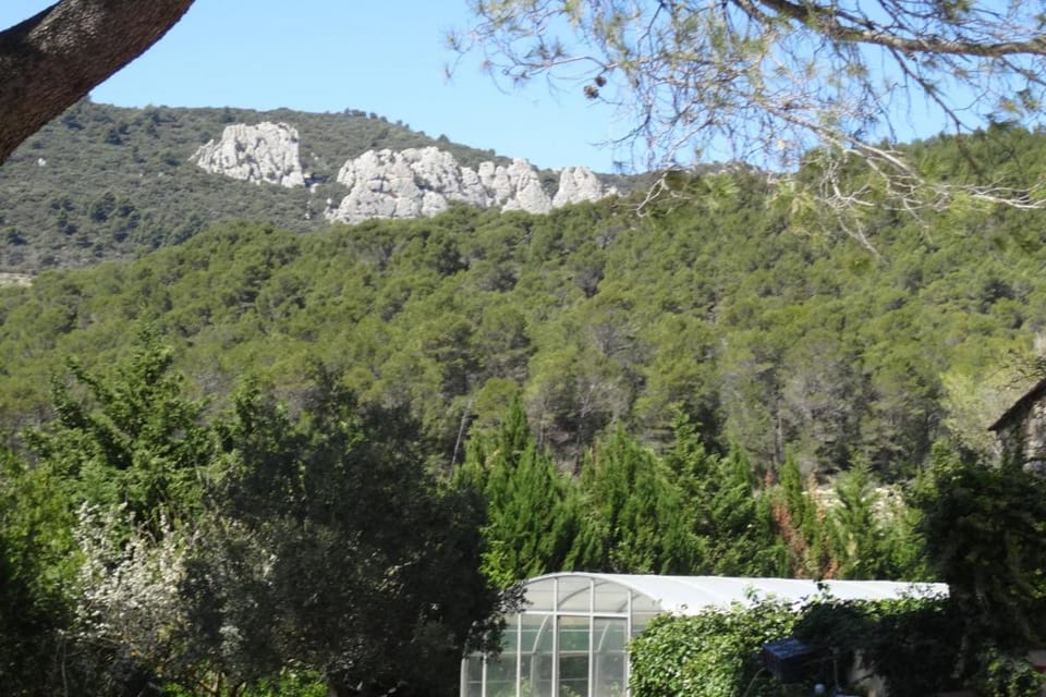 Nearby landmark, Natural landscape, Garden, Mountain view, Swimming pool