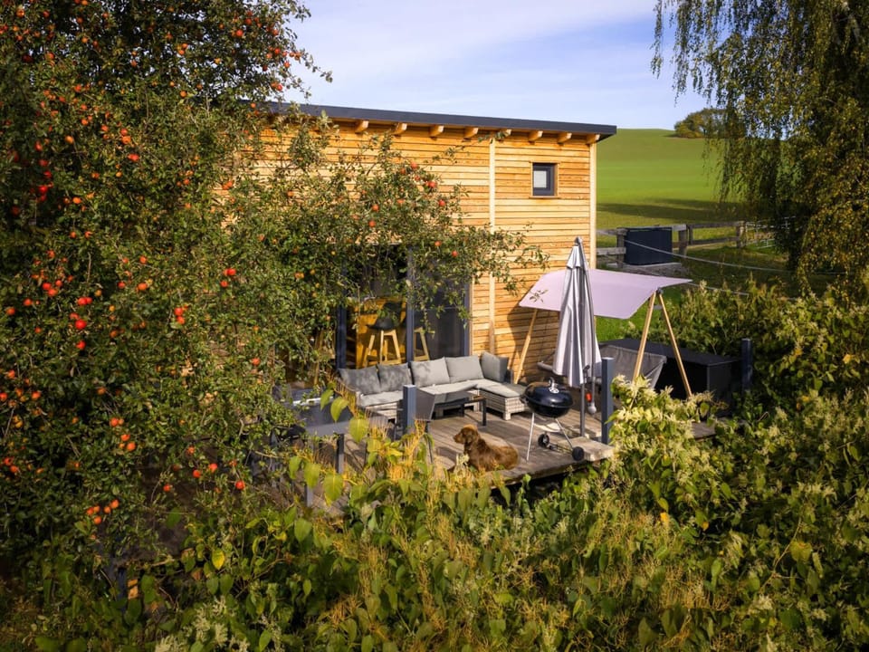 Property building, Day, Garden, Balcony/Terrace, Garden view, sunbed