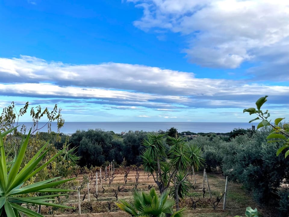 Natural landscape, Sea view