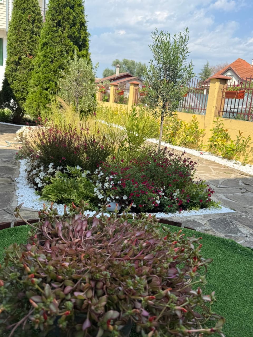 Семеен хотел САМИ Hotel in Varna Province