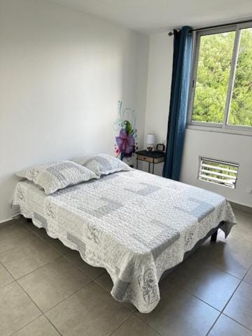 Appartement F2 Apartment in Fort-de-France