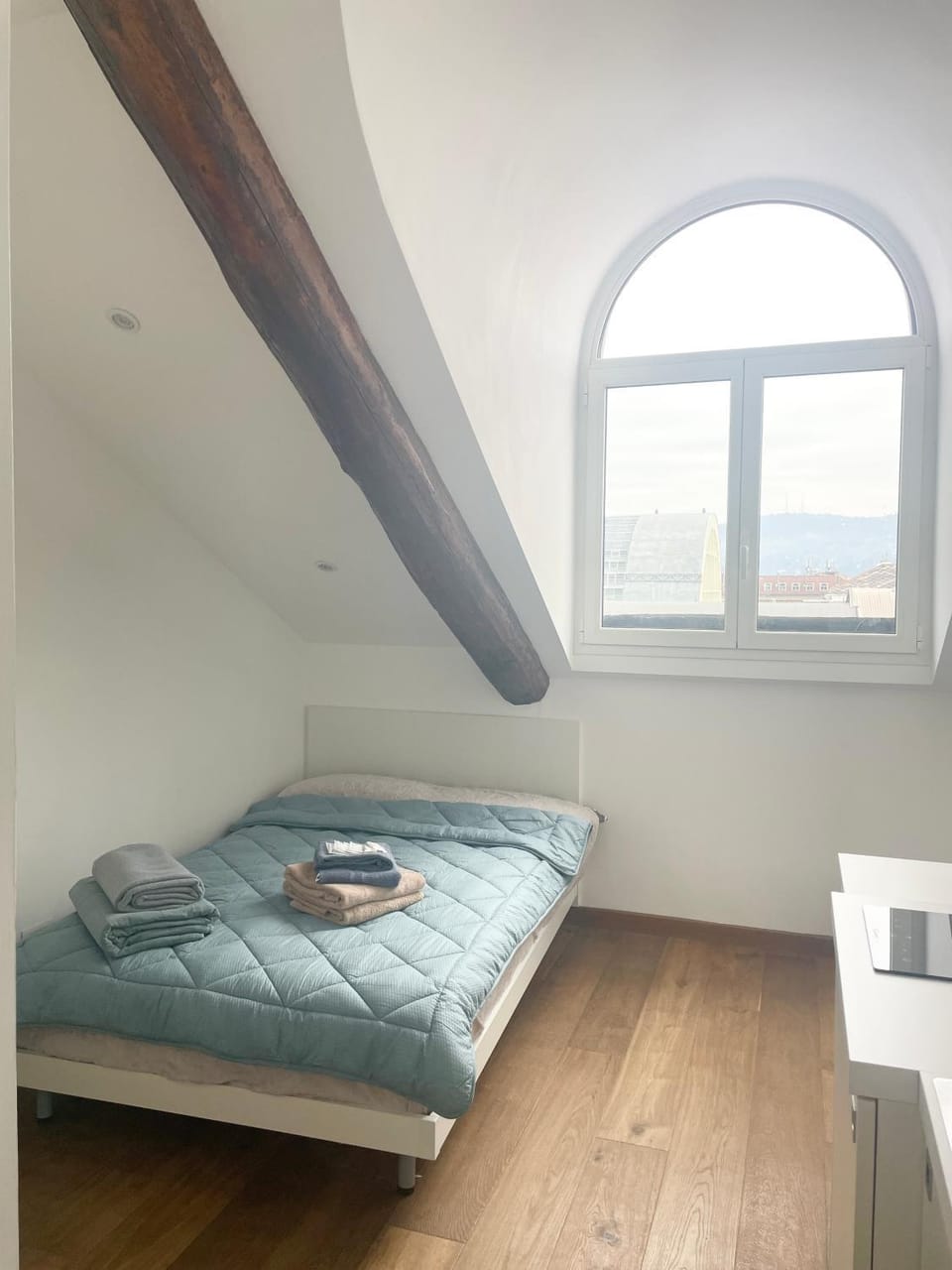 Mansarda (S4) Sacchi Apartment in Turin