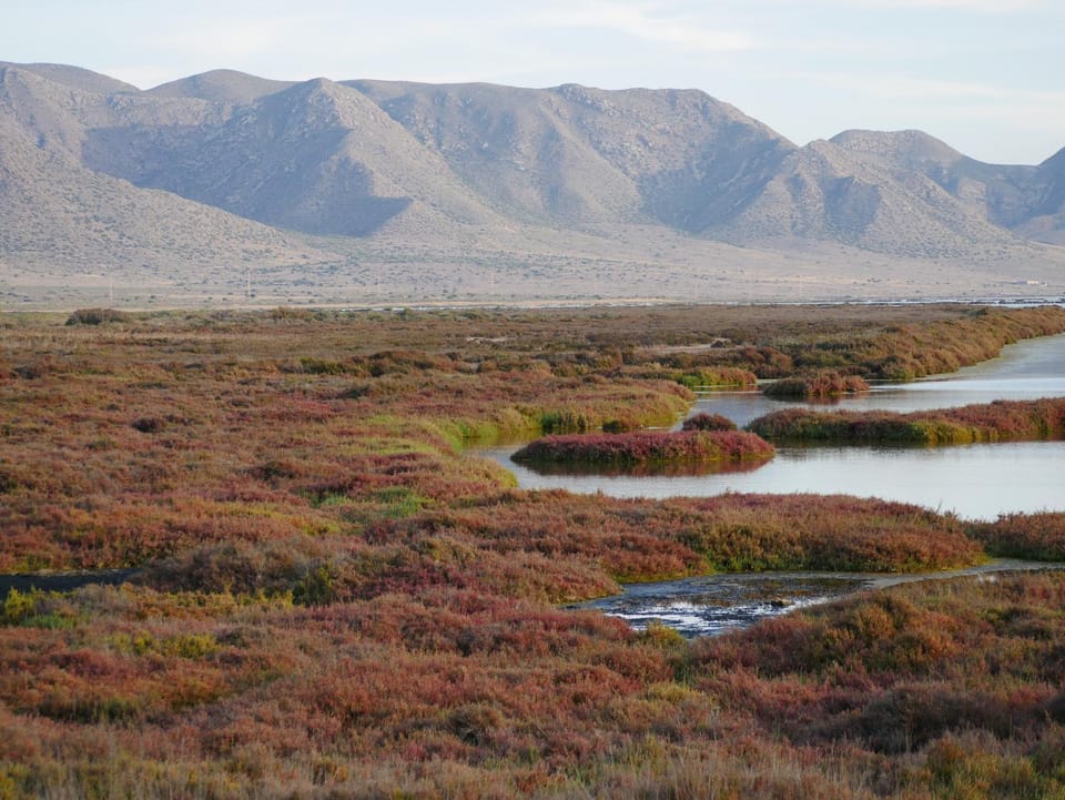 Natural landscape