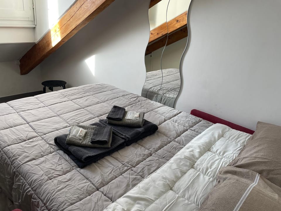 Mansarda (G52) Galliari Apartment in Turin