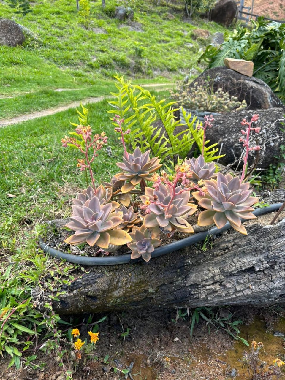 Chalé Jequitiba, hidro, lareira, natureza, Sul de Minas, Café da manhã Chalet in State of São Paulo