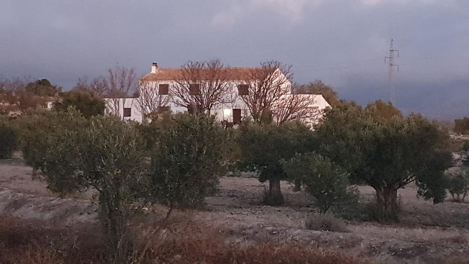 Property building, Natural landscape