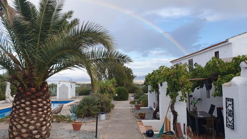 Garden, Garden view, Pool view, Swimming pool