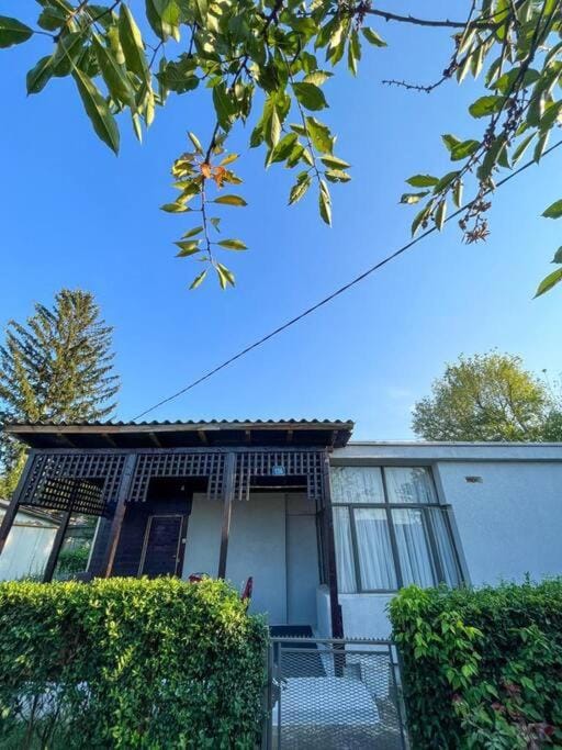 Property building, Garden view